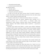 Valstybės skolos ir biudžeto deficito įtaka 12 puslapis