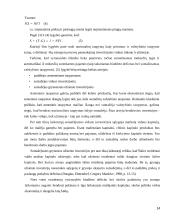 Valstybės skolos ir biudžeto deficito įtaka 14 puslapis