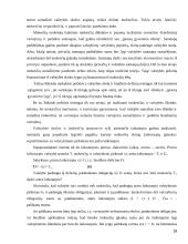 Valstybės skolos ir biudžeto deficito įtaka 18 puslapis