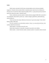 Vyriausybės nuosavybė versle 2 puslapis