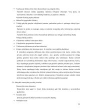 Vyriausybės nuosavybė versle 11 puslapis