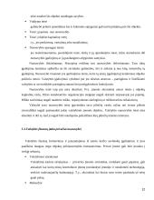 Vyriausybės nuosavybė versle 12 puslapis