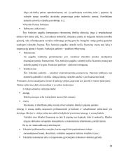 Vyriausybės nuosavybė versle 13 puslapis