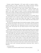 Vyriausybės nuosavybė versle 16 puslapis