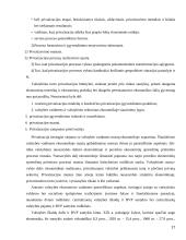 Vyriausybės nuosavybė versle 17 puslapis