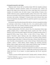 Vyriausybės nuosavybė versle 9 puslapis