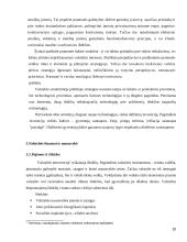 Vyriausybės nuosavybė versle 10 puslapis