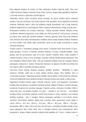 Fiskalinė politika atviroje ekonomikoje 16 puslapis