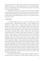 Fiskalinė politika atviroje ekonomikoje 10 puslapis