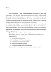 Lietuvos švietimo plėtros strategija 2 puslapis