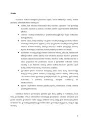 Lietuvos švietimo plėtros strategija 8 puslapis