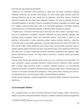 Vyriausybės vaidmuo šalies ekonomikoje 15 puslapis