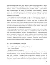 Vyriausybės vaidmuo šalies ekonomikoje 16 puslapis