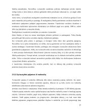 Vyriausybės vaidmuo šalies ekonomikoje 17 puslapis