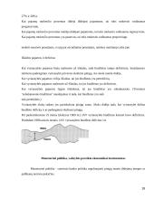 Vyriausybės vaidmuo šalies ekonomikoje 18 puslapis