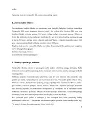 Vyriausybės vaidmuo šalies ekonomikoje 4 puslapis