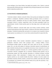 Vyriausybės vaidmuo šalies ekonomikoje 5 puslapis