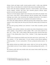 Vyriausybės vaidmuo šalies ekonomikoje 8 puslapis