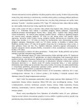 Euroobligacijos ir jų ekonominis vertinimas 2 puslapis