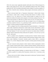 Euroobligacijos ir jų ekonominis vertinimas 16 puslapis