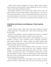 Euroobligacijos ir jų ekonominis vertinimas 10 puslapis