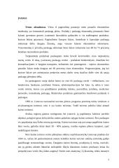 Kaimo turizmo plėtros tendencijos Lietuvoje 3 puslapis