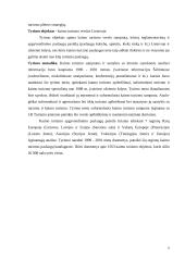 Kaimo turizmo plėtros tendencijos Lietuvoje 5 puslapis