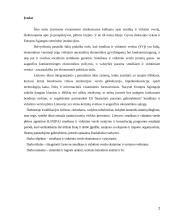 Smulkaus ir vidutinio verslo skatinimas ir vystymasis 2 puslapis