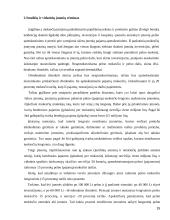 Smulkaus ir vidutinio verslo skatinimas ir vystymasis 15 puslapis