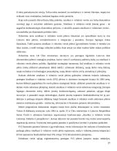 Smulkaus ir vidutinio verslo skatinimas ir vystymasis 17 puslapis