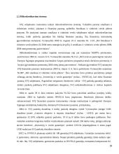 Smulkaus ir vidutinio verslo skatinimas ir vystymasis 19 puslapis