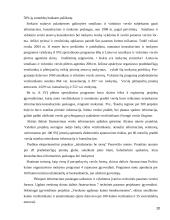 Smulkaus ir vidutinio verslo skatinimas ir vystymasis 20 puslapis