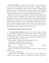 Smulkaus ir vidutinio verslo skatinimas ir vystymasis 5 puslapis