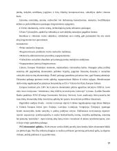 Smulkaus ir vidutinio verslo skatinimas ir vystymasis 10 puslapis