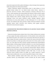 Tarptautinės įmonės UAB „Fazer kepyklos“ konkurencingumo samprata 12 puslapis