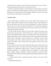 Tarptautinės įmonės UAB „Fazer kepyklos“ konkurencingumo samprata 16 puslapis