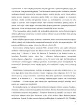 Tarptautinės įmonės UAB „Fazer kepyklos“ konkurencingumo samprata 4 puslapis