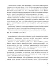 Tarptautinės įmonės UAB „Fazer kepyklos“ konkurencingumo samprata 10 puslapis