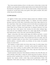 Tarptautinis valiutų fondas ir Lietuva 18 puslapis