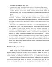 Užsienio valiutų rinka. Diplominis darbas 11 puslapis