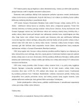 Užsienio valiutų rinka. Diplominis darbas 7 puslapis