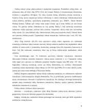 Užsienio valiutų rinka. Diplominis darbas 8 puslapis