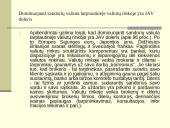 Euro ir JAV dolerio santykis: dinamika, jos priežastys, perspektyvų vertinimas 4 puslapis