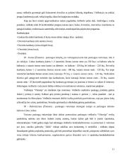 Marketingo tobulinimo galimybės viešbutyje “Viktorija” 11 puslapis