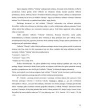 Marketingo tobulinimo galimybės viešbutyje “Viktorija” 13 puslapis