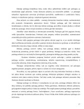 Marketingo tobulinimo galimybės viešbutyje “Viktorija” 17 puslapis
