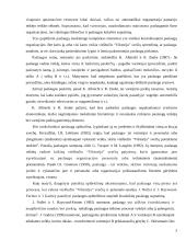 Marketingo tobulinimo galimybės viešbutyje “Viktorija” 5 puslapis