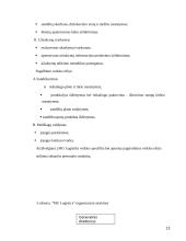 Personalo organizavimo tobulinimo ypatumai transporto įmonėje 13 puslapis