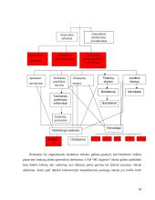 Personalo organizavimo tobulinimo ypatumai transporto įmonėje 14 puslapis