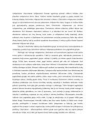 Prestižo reikšmė aristokratui (pagal N. Elio "Rūmų dvaro visuomenė) 3 puslapis